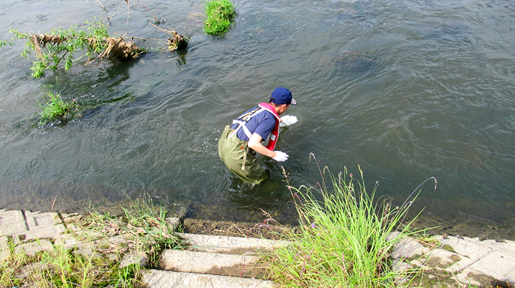 江の川の河川環境を定量評価へ 環境DNAを活用した持続可能な生態系モニタリング