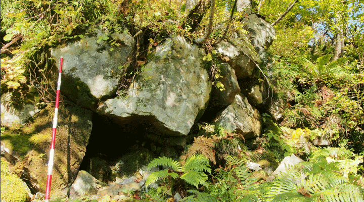 八千代エンジニヤリング株式会社レーザー測量で隠れた急崖・巨礫を可視化