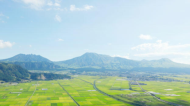 Community Development