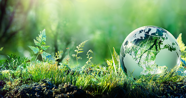 Business Sustainability