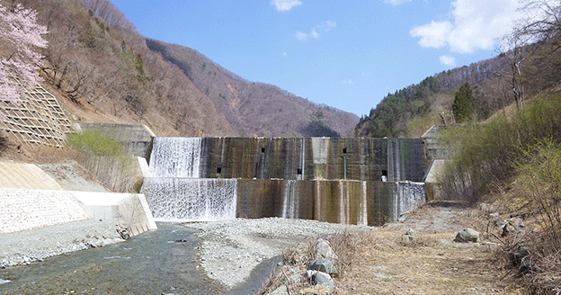 Structural Health Assessment