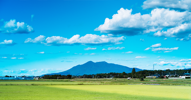 Green Infrastructure