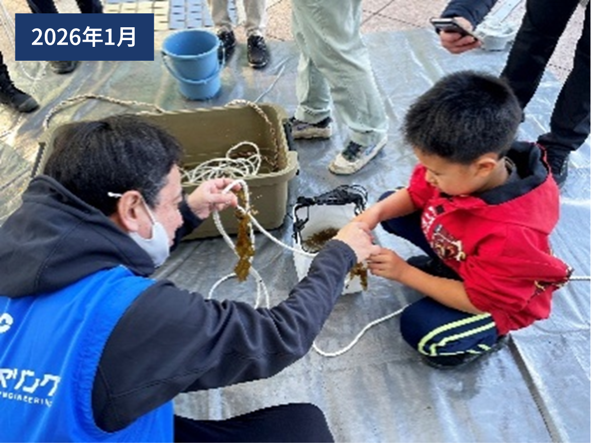 ワカメの種付け体験