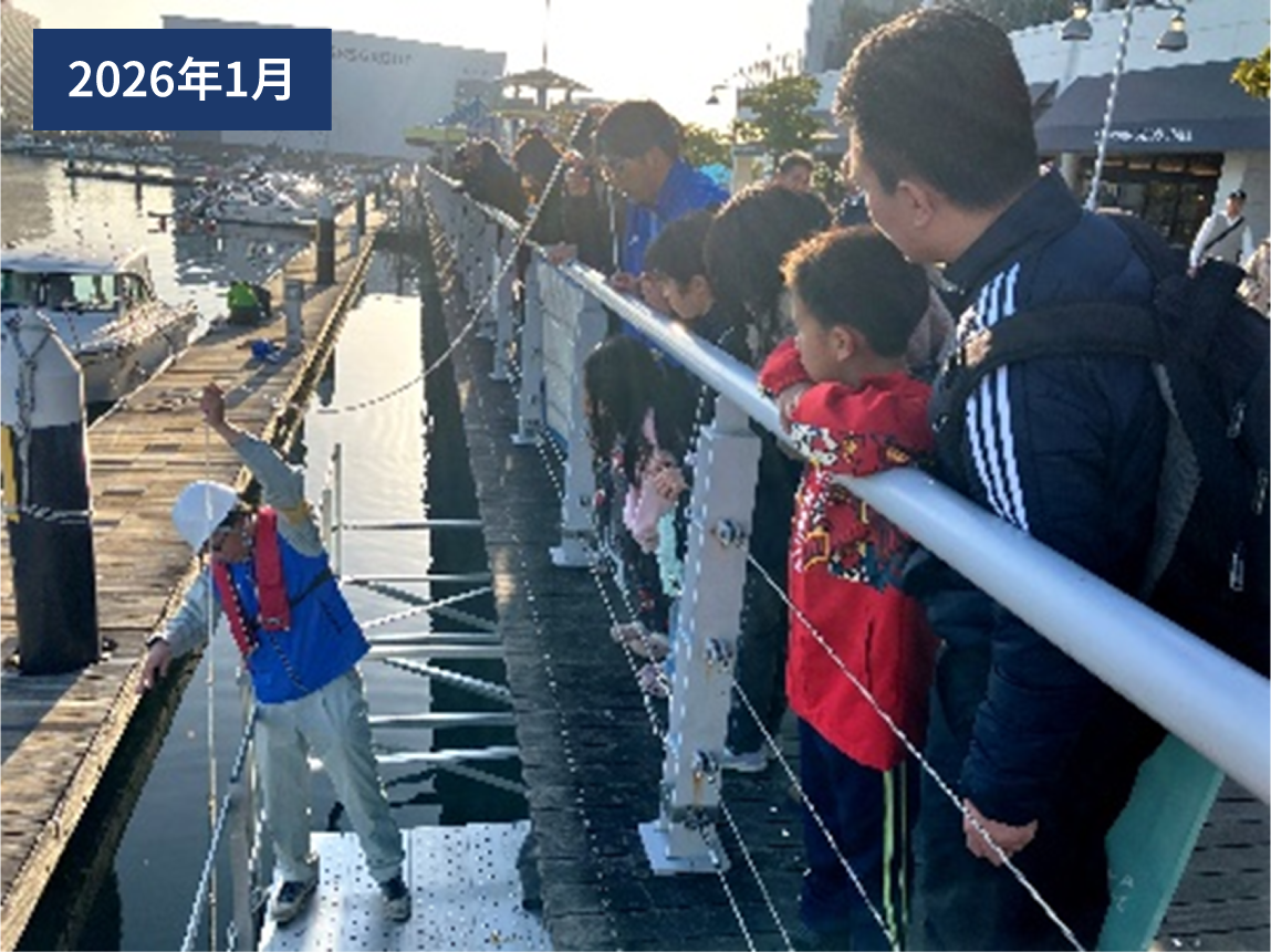 種付けした生育用ロープを直立護岸に設置